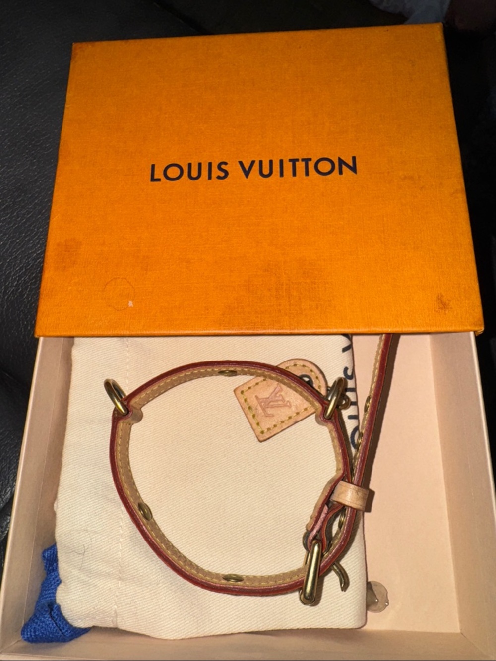 Louis Vuitton Baxter Leather Dog Collar